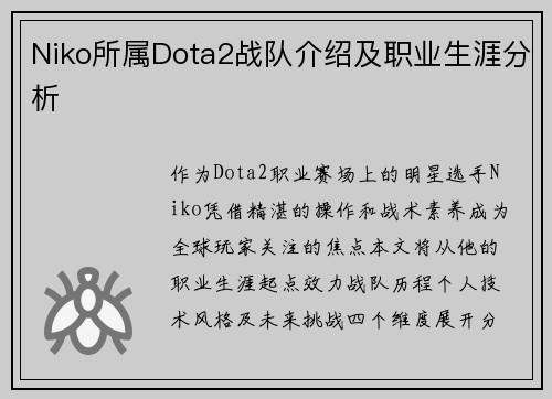 Niko所属Dota2战队介绍及职业生涯分析